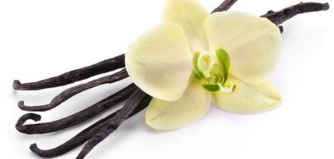 Vigon’s balsam resinoid with odors for balsamic, vanilla, woody or powdery applications