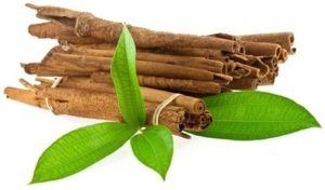 Vigon’s cinnamon leaf oil for use in spicy, deep, woody or clove odor applications