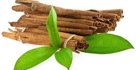 Cinnamon Leaf Oil Ceylon - Vigon