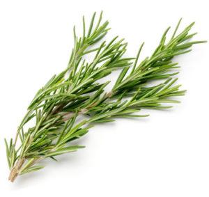 Vigon’s rosemary oil for use in strong, fresh, camphoreous, balsamic or minty odor applications