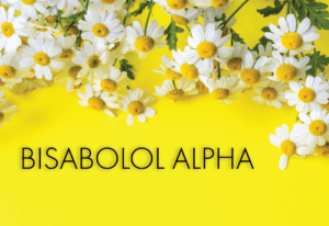 Bisabolol is also known as levomenol and carries a sweet floral aroma that is utilized within the fragrance industry