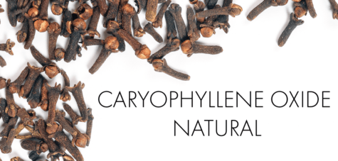 Caryophyllene Oxide Natural is a liquid with a terpene odor between cloves and turpentine, and is found in many essential oils and perfumes
