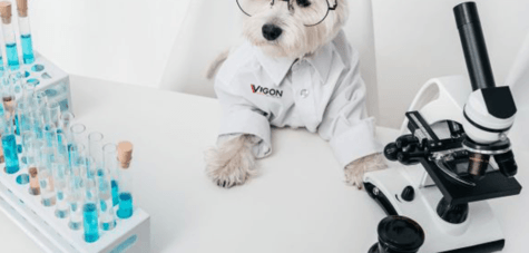 Stay up to date with Vigon company news about product updates and more! Sign up for the newsletter today