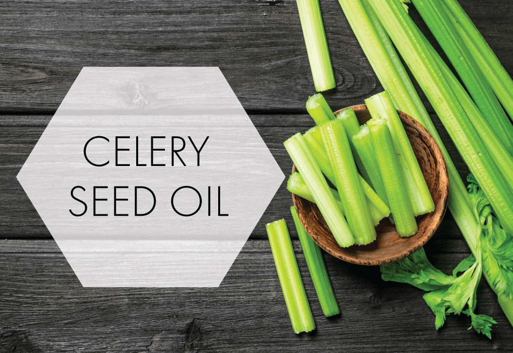 Celery Seed Oil Vigon
