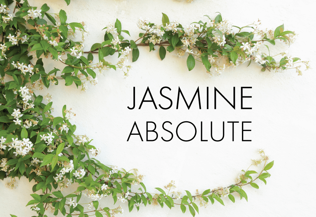 Jasmine... 