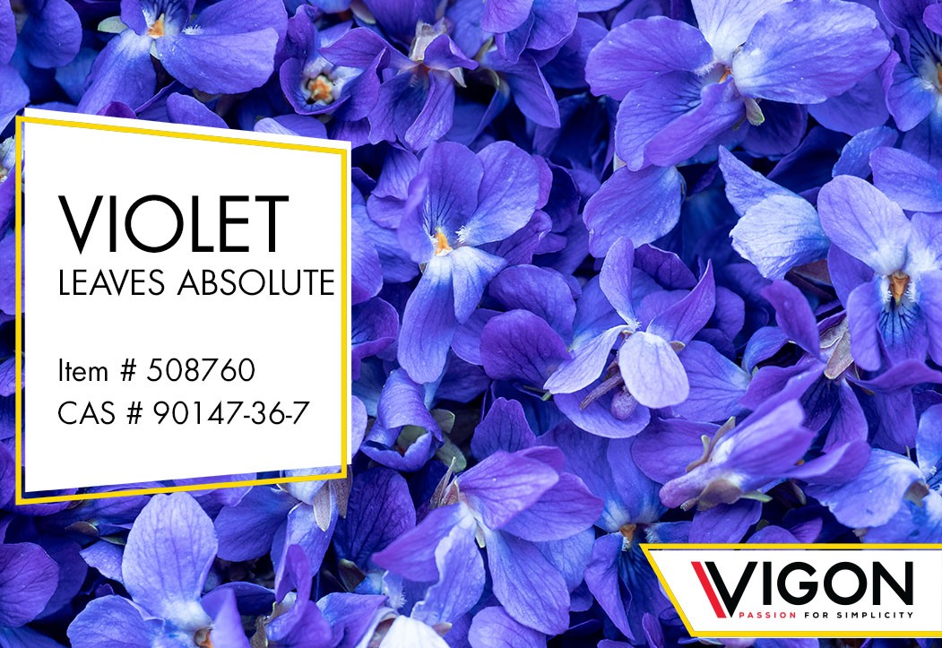 Violet Absolute