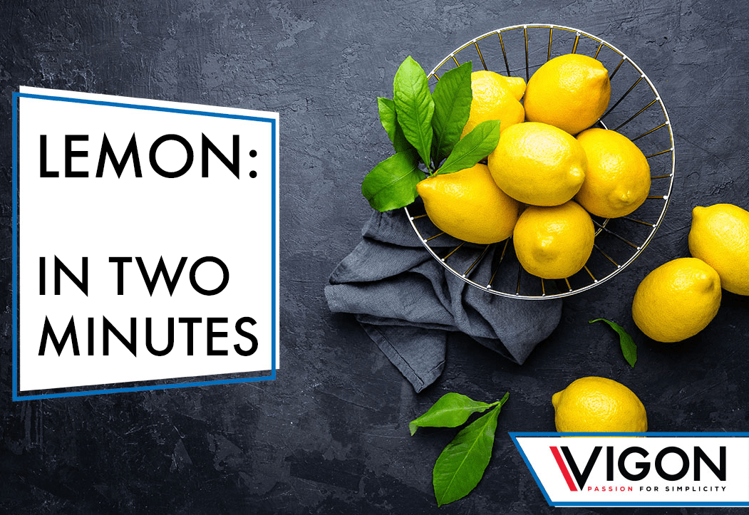 Lemon: In Two Minutes - Vigon